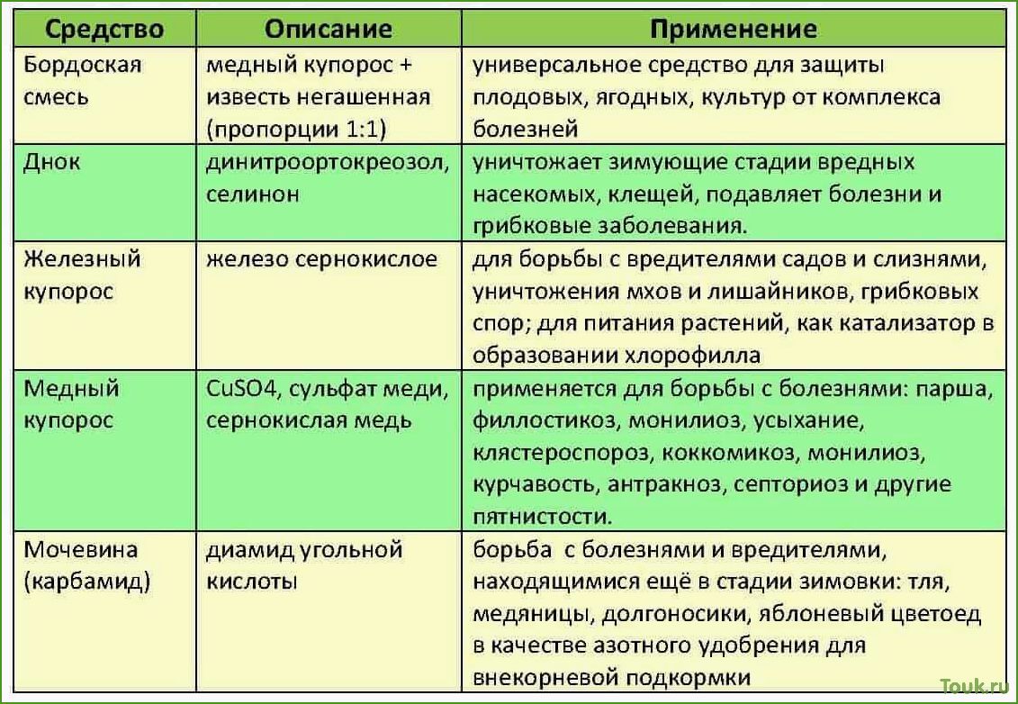 Как обработать яблони весной от вредителей и болезней: советы и рекомендации
