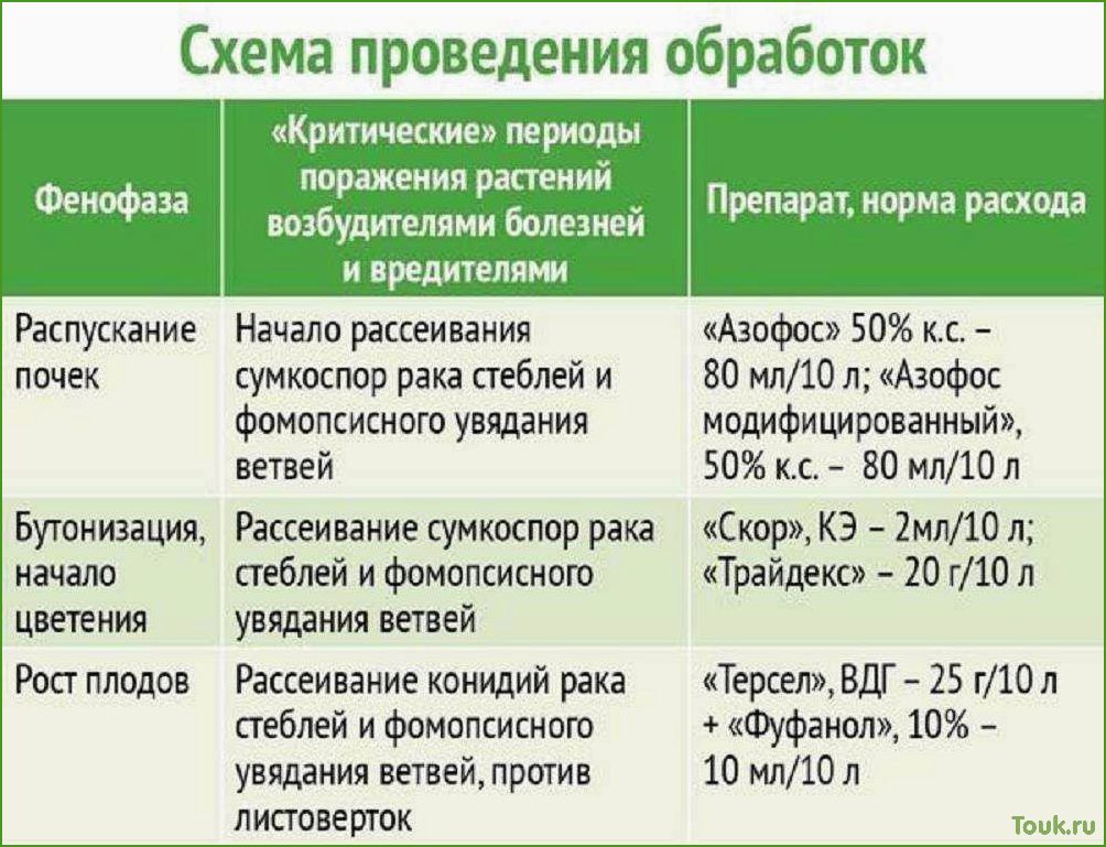 Как обработать яблони весной от вредителей и болезней: советы и рекомендации