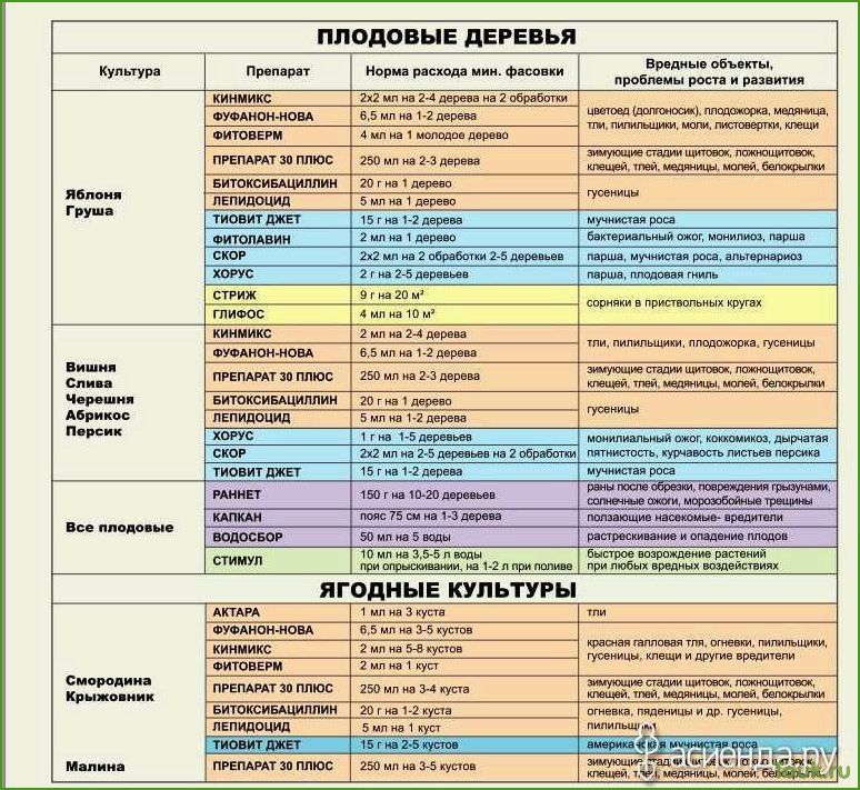 Как обработать яблони весной от вредителей и болезней: советы и рекомендации