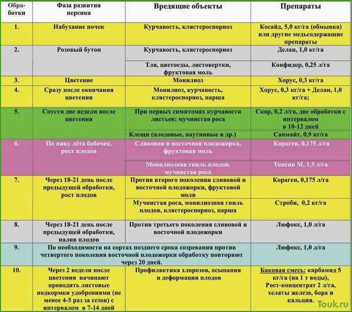 Как обработать яблони весной от вредителей и болезней: советы и рекомендации
