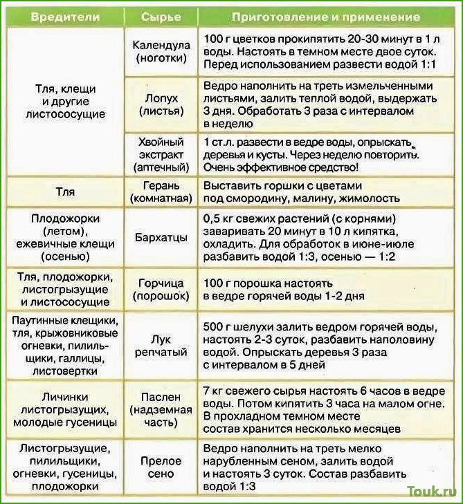Как обработать яблони весной от вредителей и болезней: советы и рекомендации
