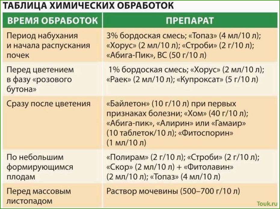 Как обработать яблони весной от вредителей и болезней: советы и рекомендации