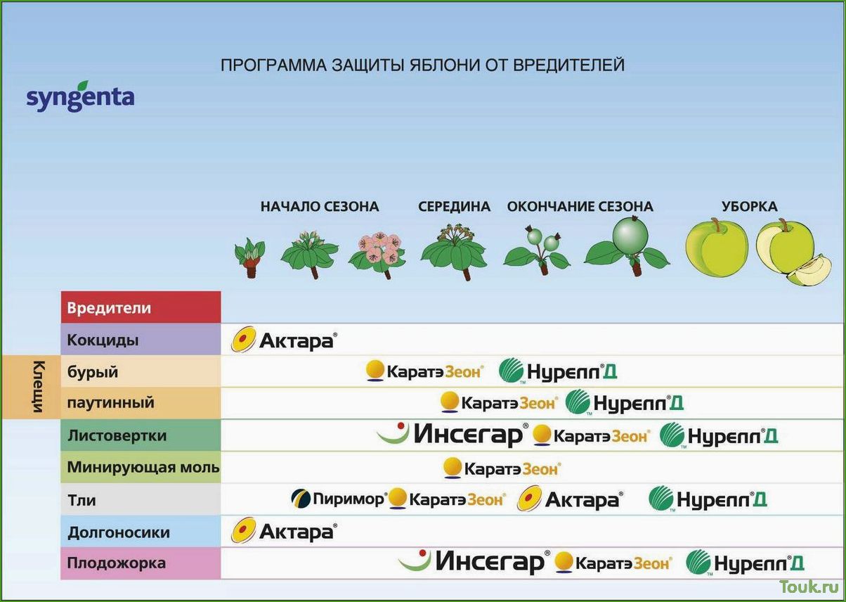 Как обработать яблони весной от вредителей и болезней: советы и рекомендации