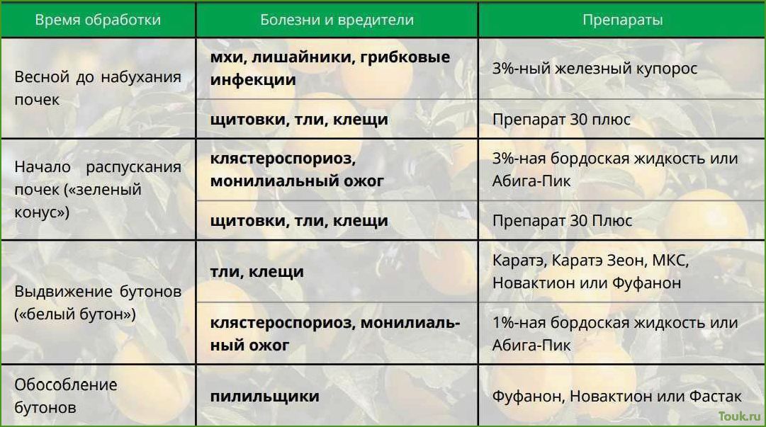 Как обработать яблони весной от вредителей и болезней: советы и рекомендации