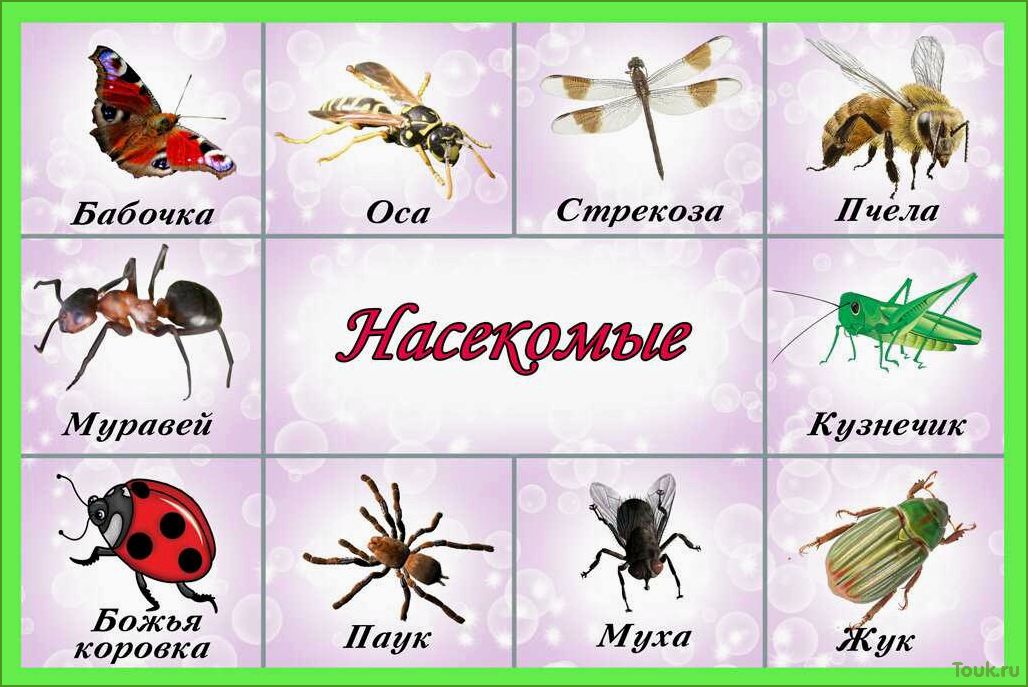 (полезных, насекомых, сада) 17 полезных насекомых для сада