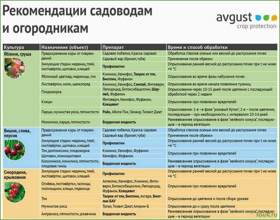 (обработать, яблони, весной, вредителей, болезней) Как обработать яблони весной от вредителей и болезней: эффективные методы