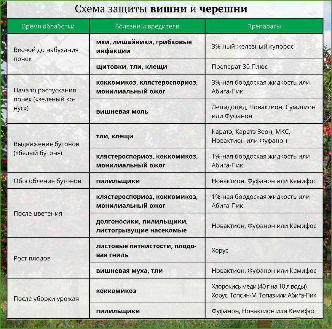 (обработать, яблони, весной, вредителей, болезней) Как обработать яблони весной от вредителей и болезней: эффективные методы