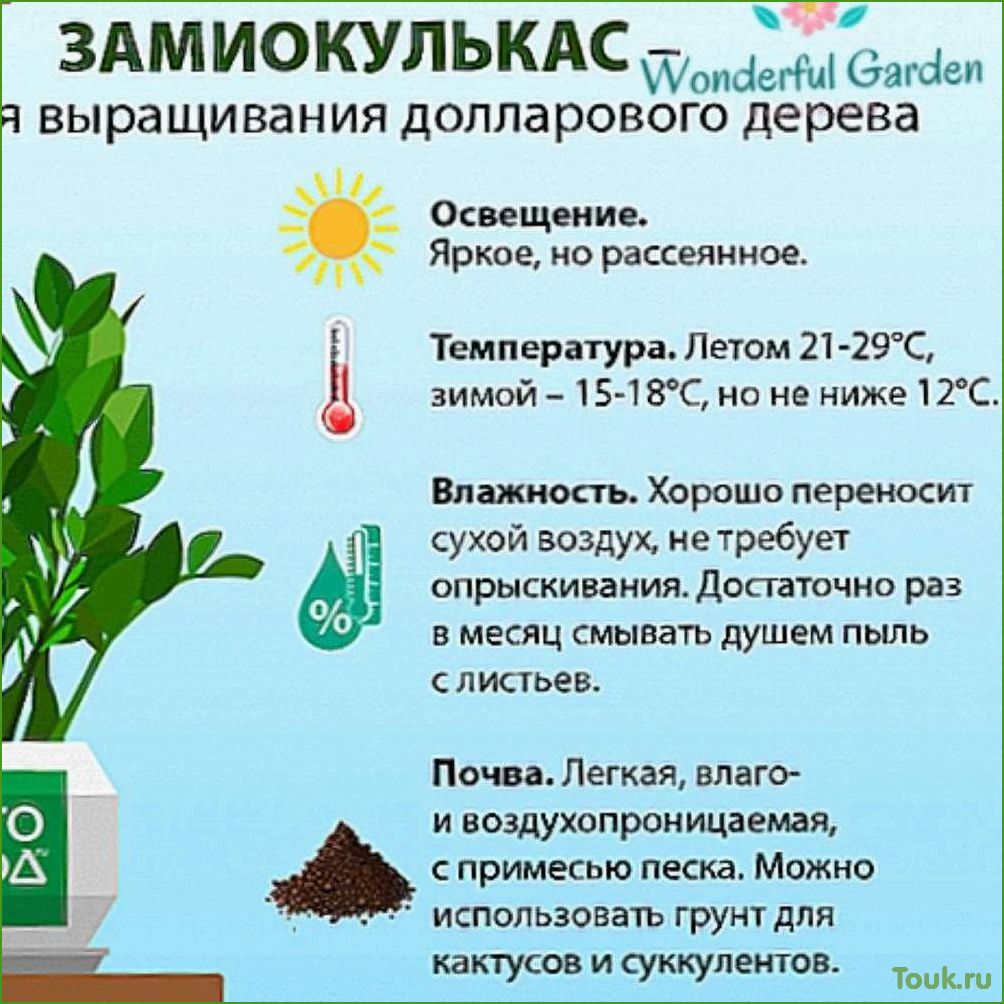 (земля, комнатных, растений, выбор, правила) Земля для комнатных растений: выбор и правила использования