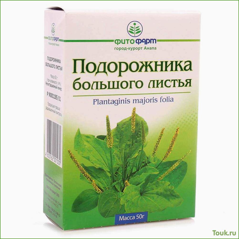 (подорожник, свойства, применение) Подорожник: свойства и применение