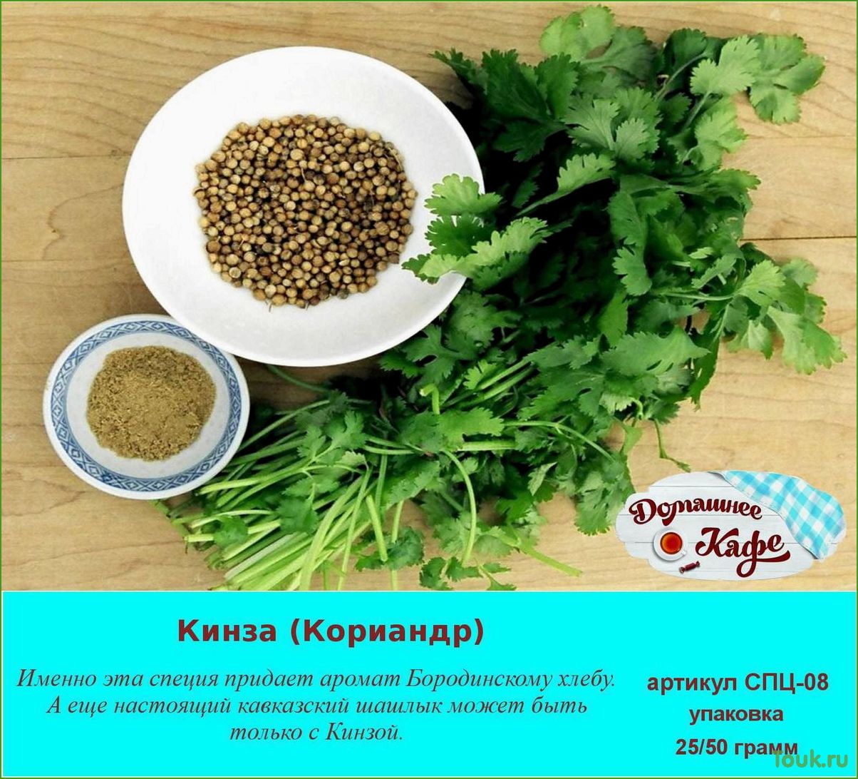 (кориандр, кинза, свойства, применение) Кориандр (Кинза) — свойства и применение