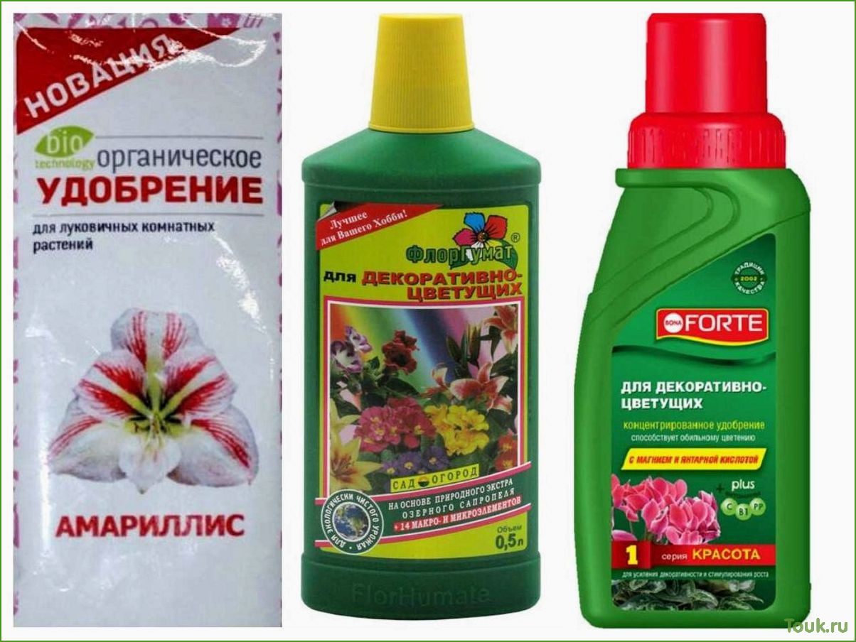 (натуральные, удобрения, комнатных, растений) Натуральные удобрения для комнатных растений