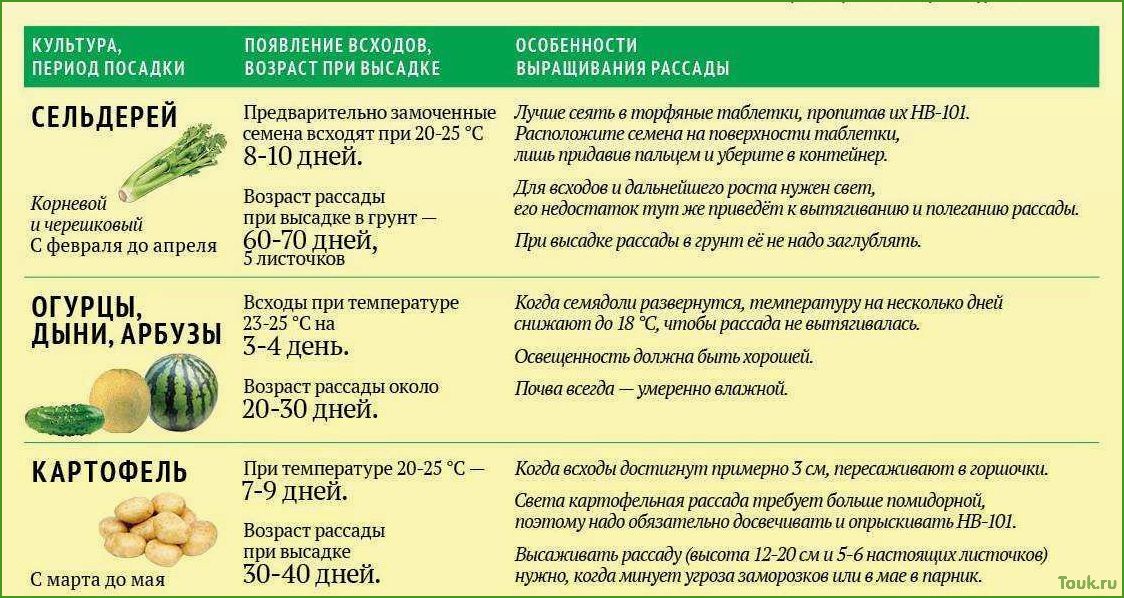 (подготовка, семян, перца, посеву, рассаду) Подготовка семян перца к посеву на рассаду
