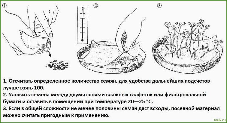 (подготовка, семян, перца, посеву, рассаду) Подготовка семян перца к посеву на рассаду