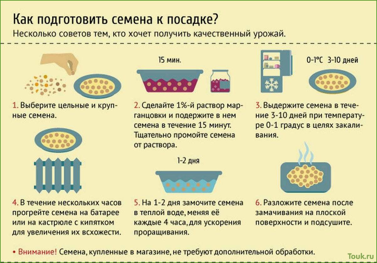 (правильно, подготовить, семена, посадке) Как правильно подготовить семена к посадке
