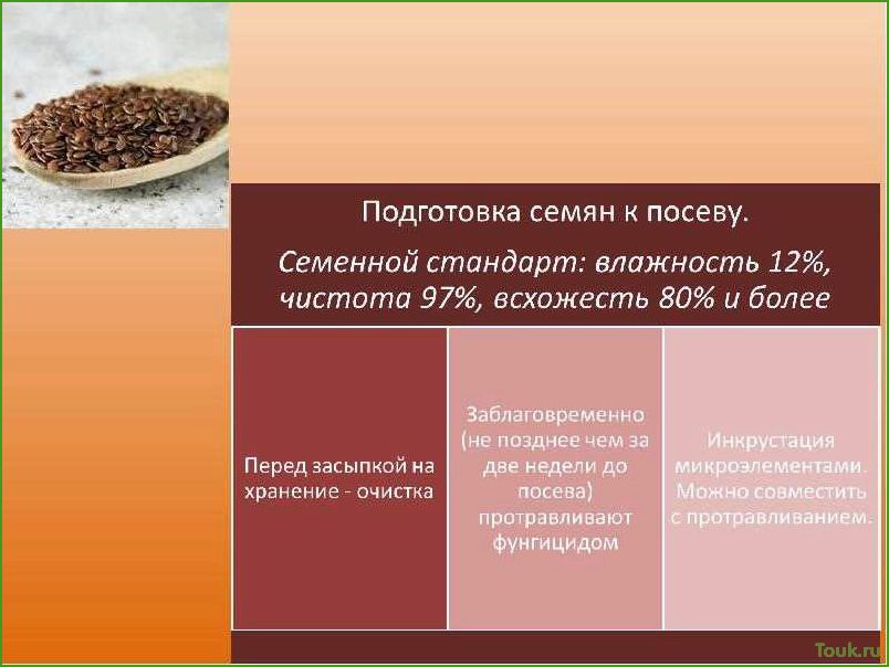 (правильно, подготовить, семена, посадке) Как правильно подготовить семена к посадке