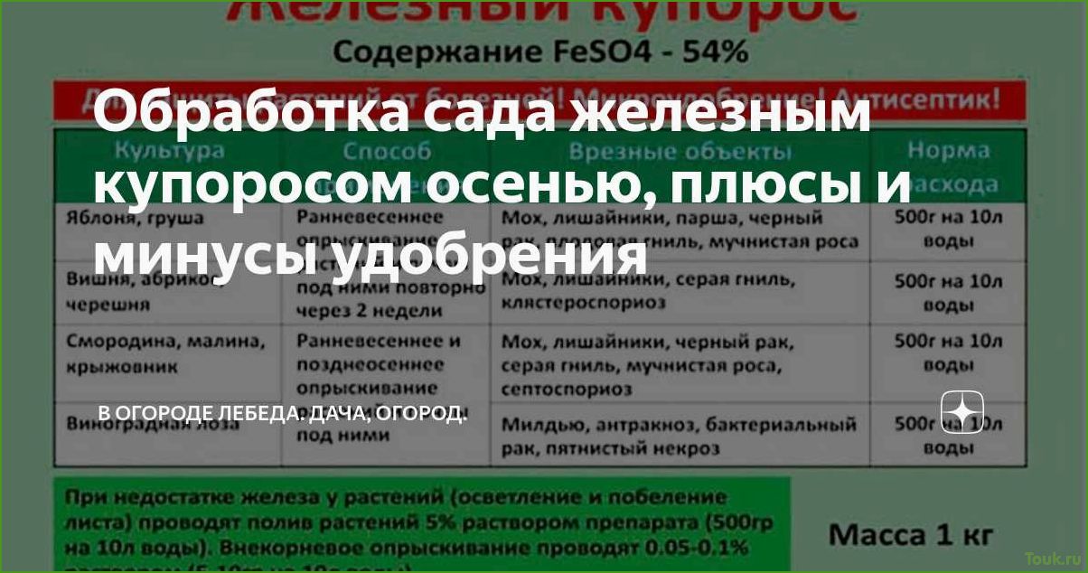 Обработка сада железным купоросом