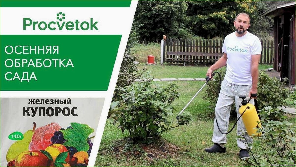 Обработка сада железным купоросом