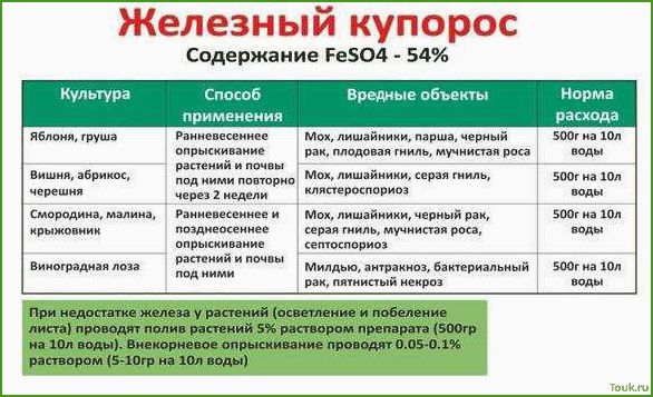Обработка сада железным купоросом