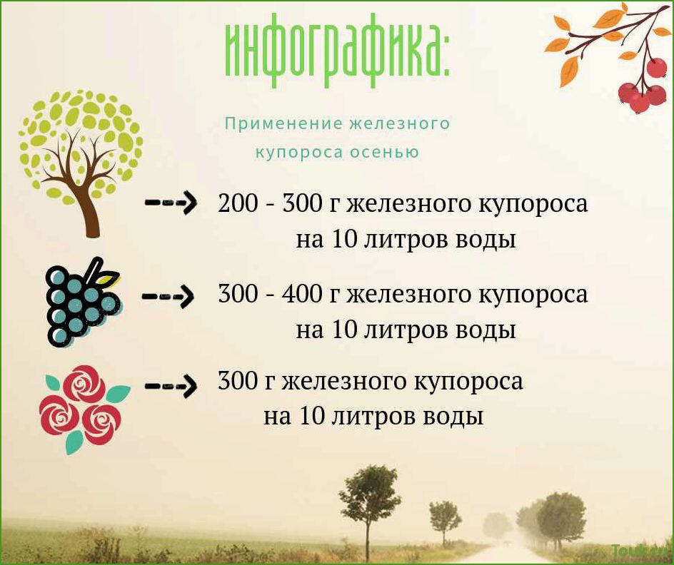Обработка сада железным купоросом