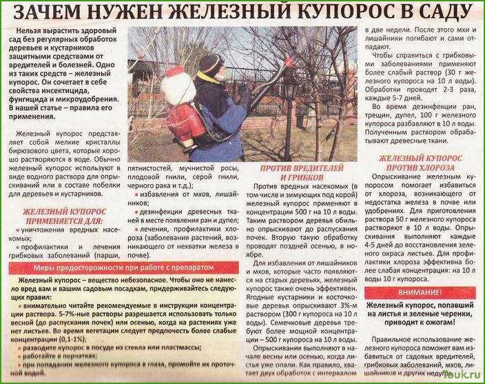 Обработка сада железным купоросом