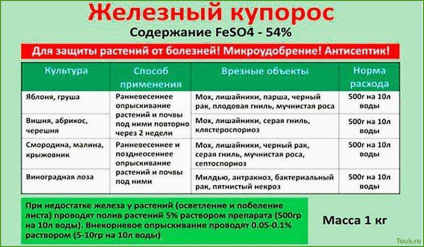 Обработка сада железным купоросом