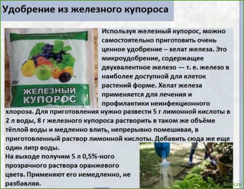 Обработка сада железным купоросом