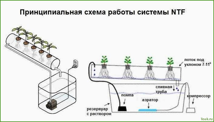 (гидропоника, домашних, условиях, основы, советы) Гидропоника в домашних условиях: основы и советы