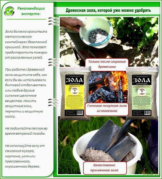 (древесная, зола, удобрение) Древесная зола как удобрение