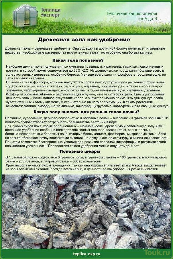 (древесная, зола, удобрение) Древесная зола как удобрение
